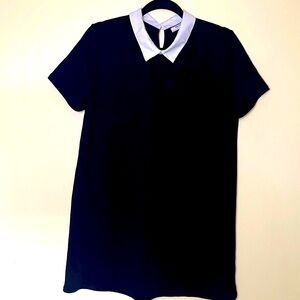 Zara Classic Black Dress with White Collar Size Large